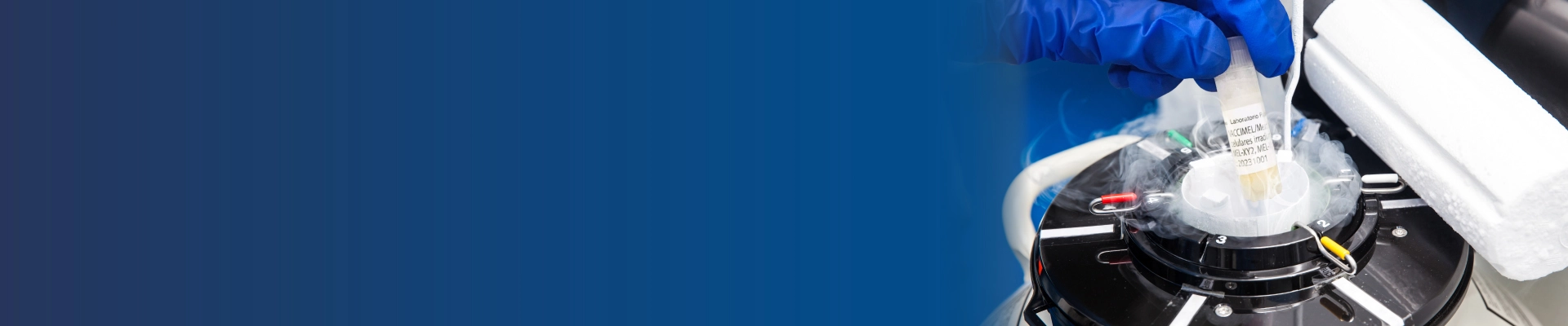 Laboratorio Pablo Cassará - Vaccimel